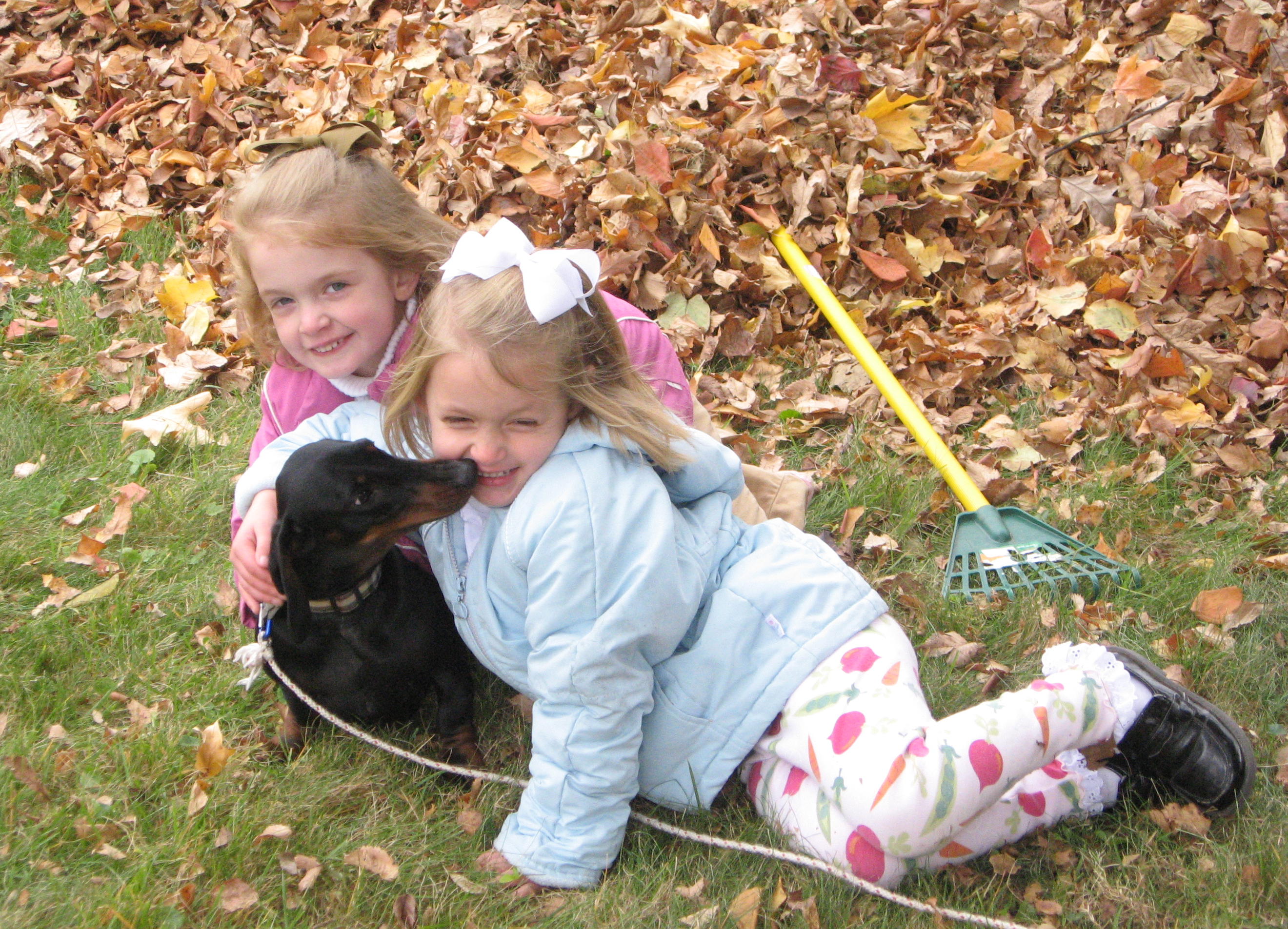 2008_11_09 JnC Lilly raking leaves.jpg